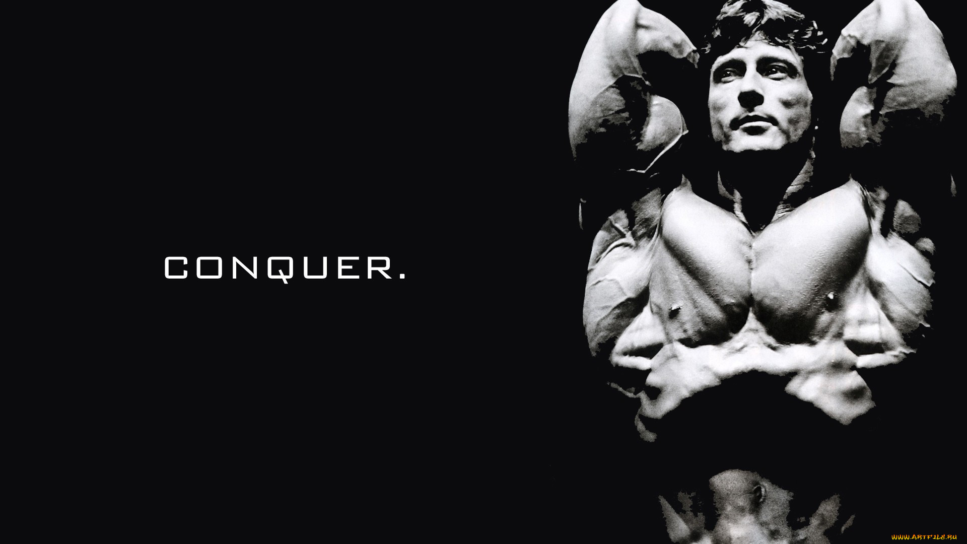 , body building, , , , , , , , , , , , 